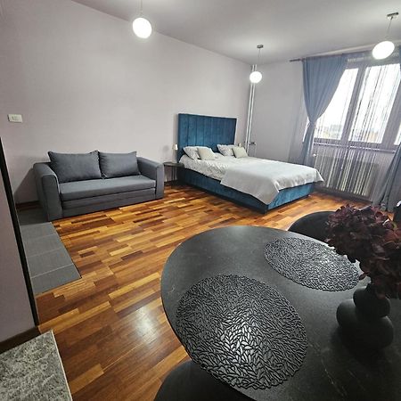 Central Sweet Apartment Self Check-In Timisoara Ngoại thất bức ảnh