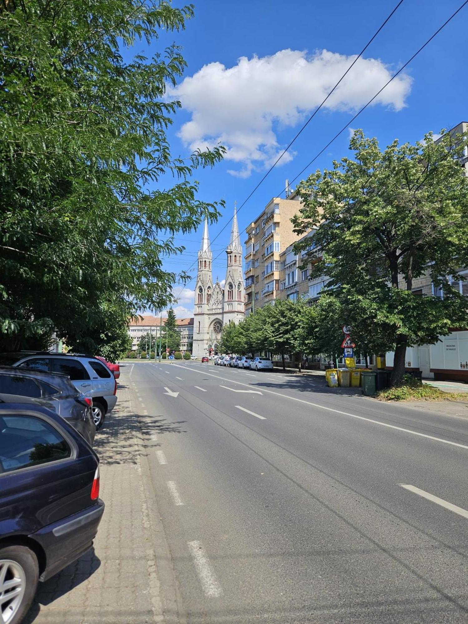 Central Sweet Apartment Self Check-In Timisoara Ngoại thất bức ảnh
